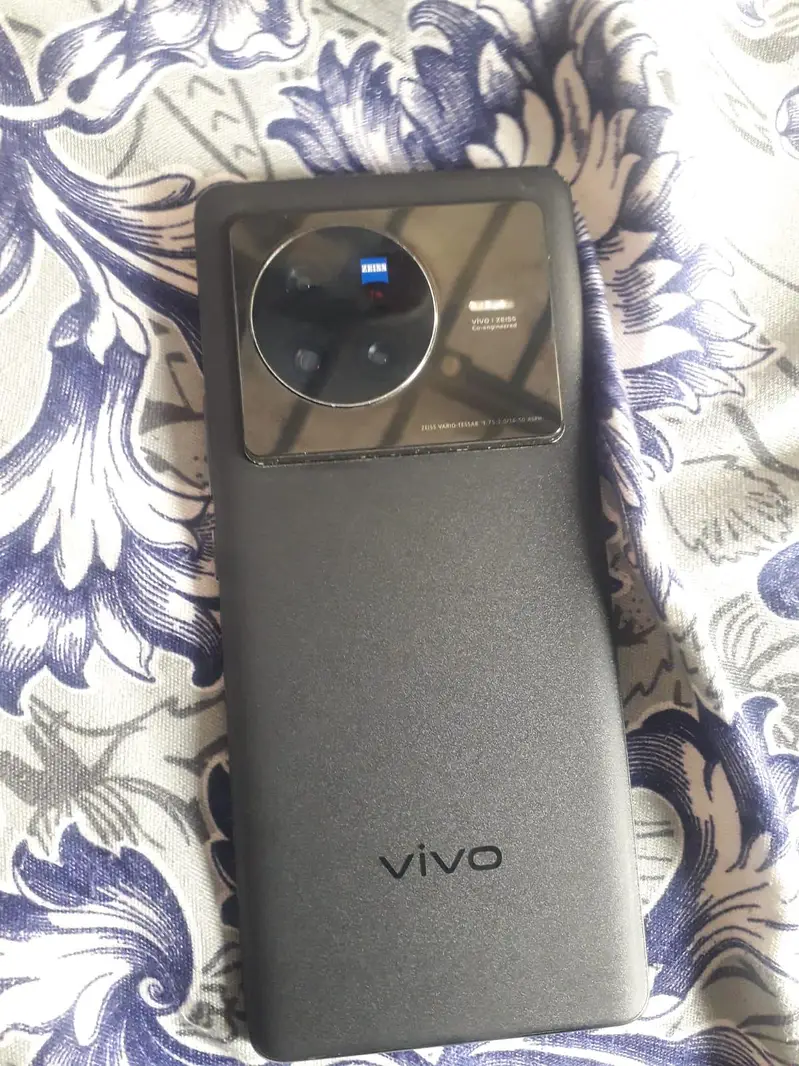 Vivo X80